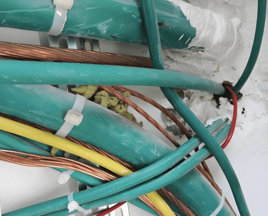 36abe6e419ee95231bdd239124935a62 36abe6e419ee95231bdd239124935a62